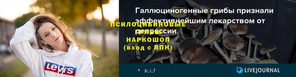 ПСИЛОЦИБИНОВЫЕ ГРИБЫ Алексеевка
