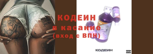 твердый Новодвинск