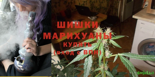 ПСИЛОЦИБИНОВЫЕ ГРИБЫ Алексеевка
