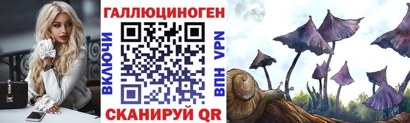 hydra как зайти  купить наркотик  Минусинск  Псилоцибиновые грибы мицелий 