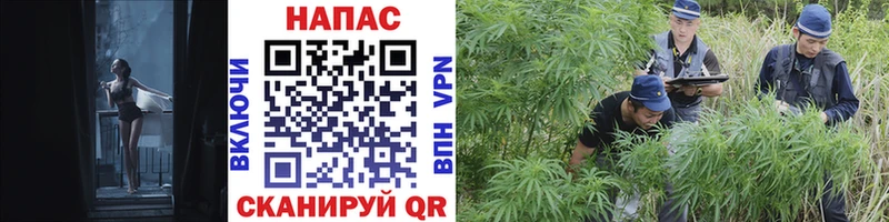 как найти наркотики  Минусинск  Марихуана LSD WEED 